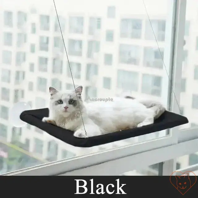 Cozy black hanging cat hammock with a feline lounging by the window, providing a perfect aerial seat.