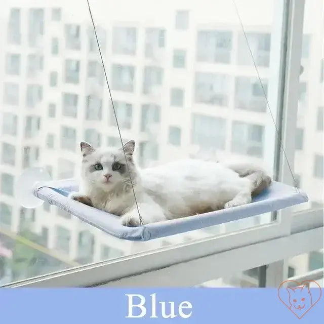 Cozy blue hanging cat hammock attached to a window, providing a sunny spot for a cat to relax and enjoy the view.