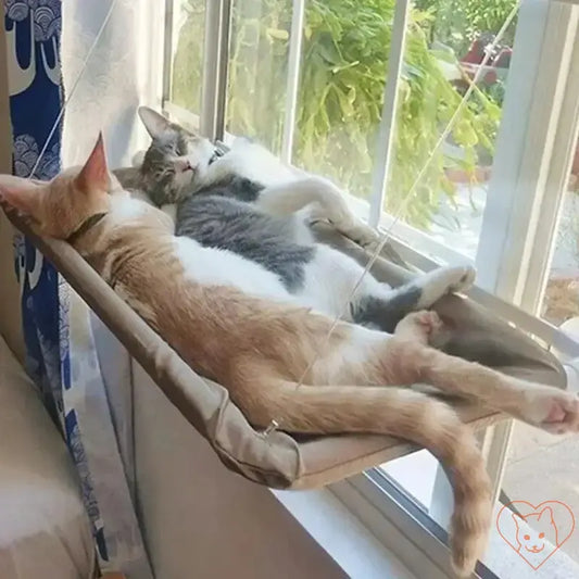 Two cats lounging together in a cozy hanging hammock by the window, enjoying the sunlight.