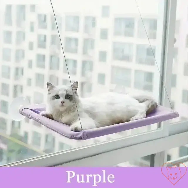 Cozy purple Hanging Cat Hammock with a cat relaxing in a sunny window, providing a perfect view.