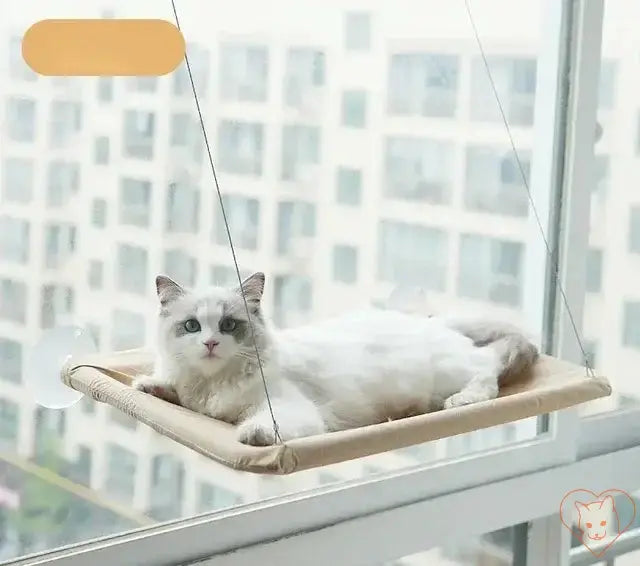 Cozy hanging cat hammock provides a sunny window seat for cats to relax and enjoy the view outdoors.