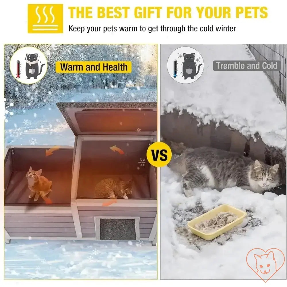 Comparison of insulated cat house providing warmth vs cats outdoors in the cold snow, highlighting pet comfort.