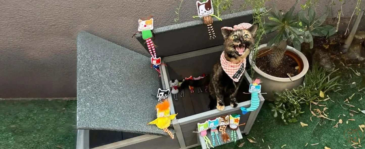 Cat lounging in an insulated outdoor cat house decorated with colorful toy cats, showcasing warmth and safety.