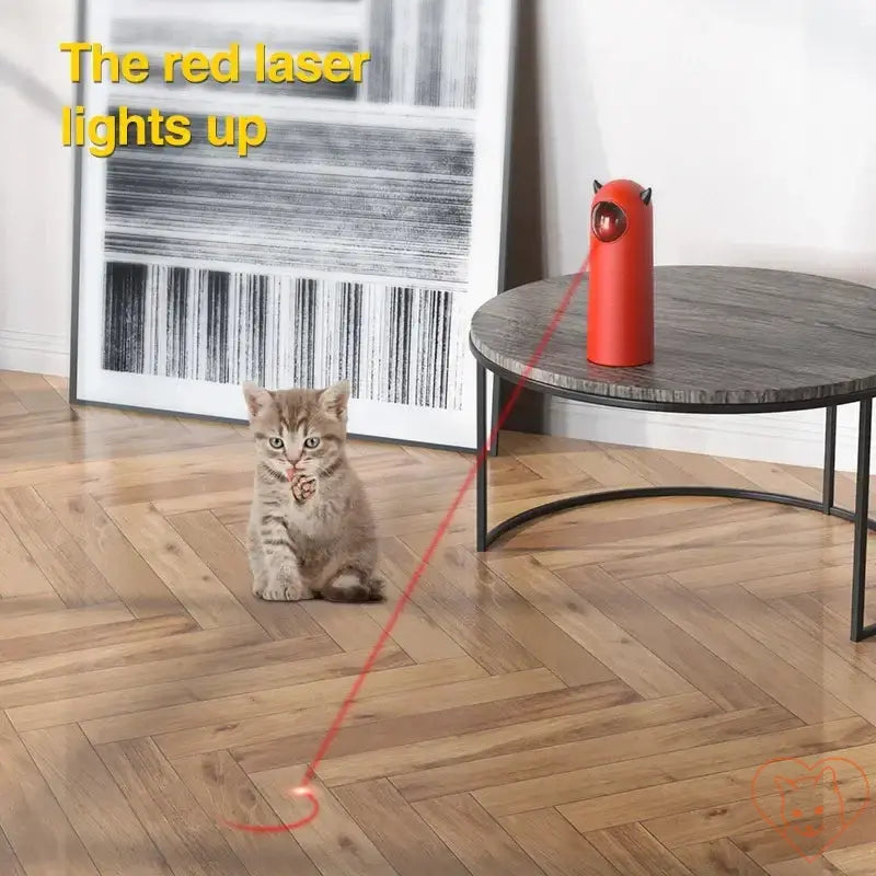 Cat engages with red laser from interactive automatic laser toy on wooden floor.