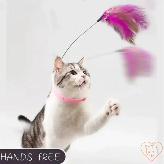 Cat joyfully playing with an interactive feather teaser wand, showcasing hands-free fun and exercise for pets.