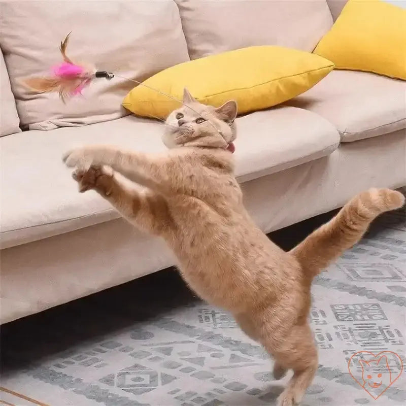 Cat jumping to catch colorful feather teaser toy with bell on a couch, enhancing playtime and exercise.