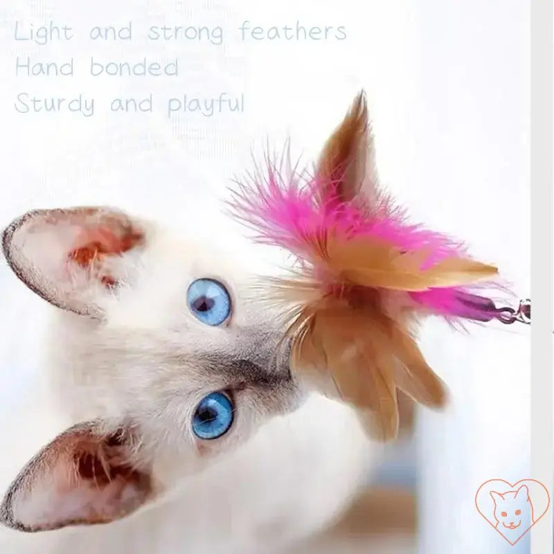 Cat playing with interactive feather wand, featuring light and strong hand-bonded feathers.