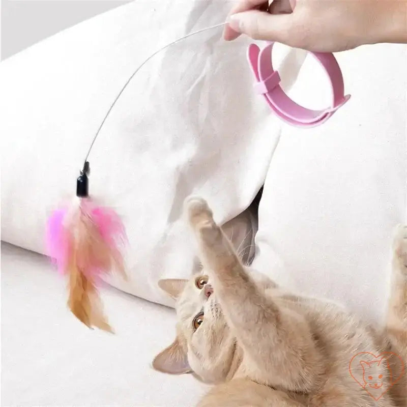 Cat playfully reaching for an interactive feather teaser wand with bell, promoting exercise and engagement.