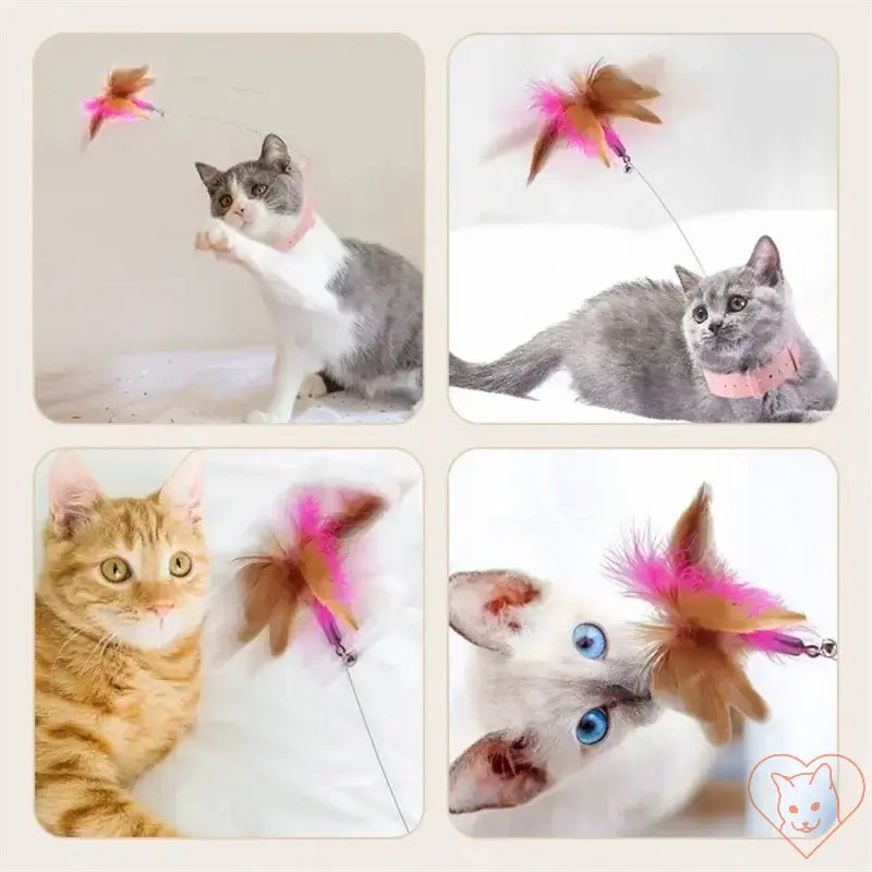 Interactive cat feather teaser wand with bell, featuring cats playing and pouncing with colorful feathers.