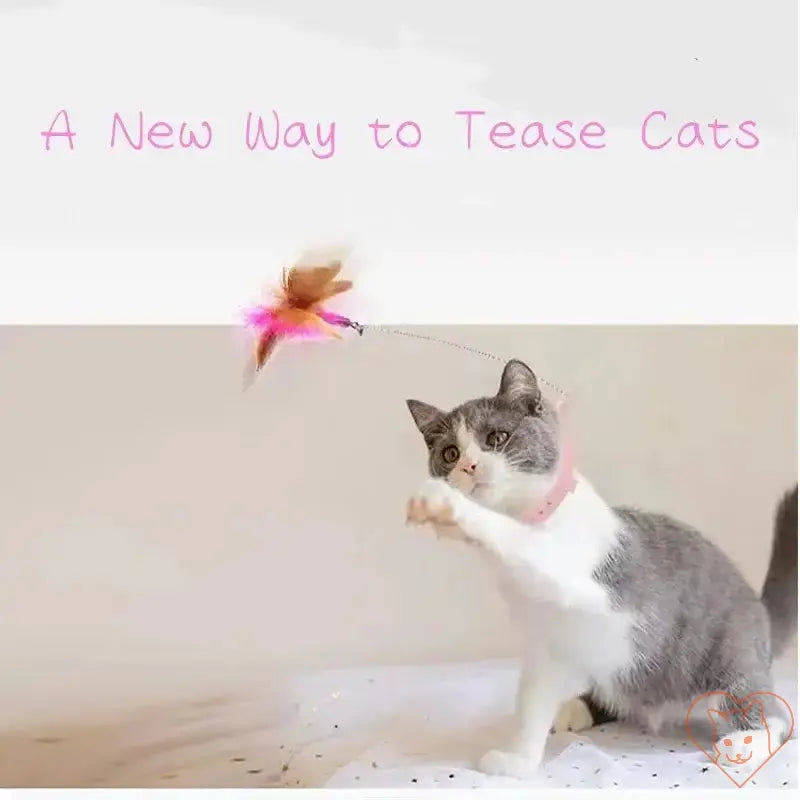 Cat playing with an interactive feather teaser wand, showcasing engaging movements and fun activities.