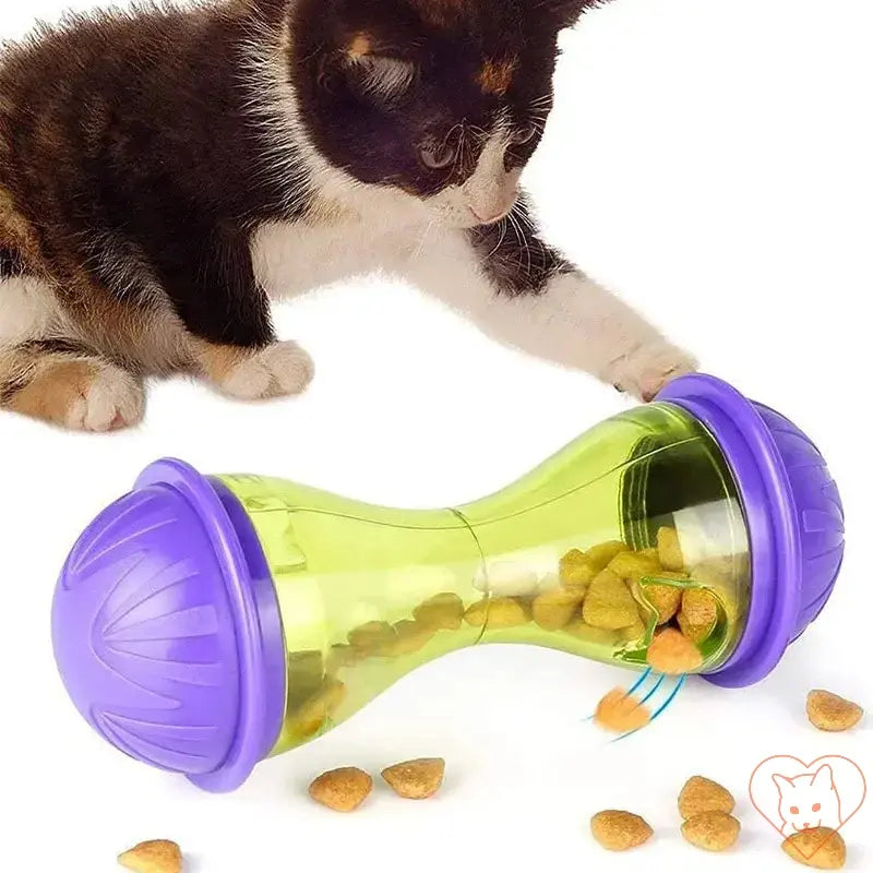 Cat playing with interactive food dispenser toy, promoting healthy eating and entertainment.