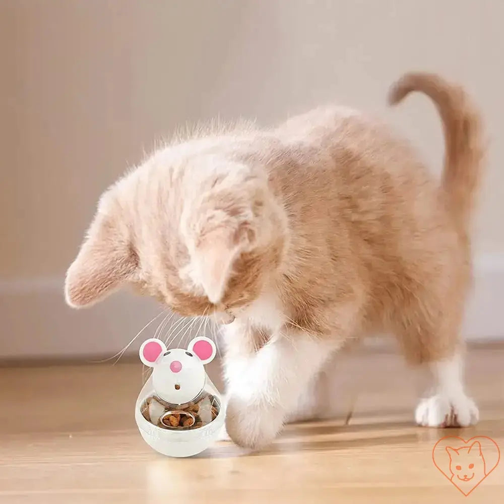 Playful kitten interacting with an interactive cat food dispenser toy for treats.