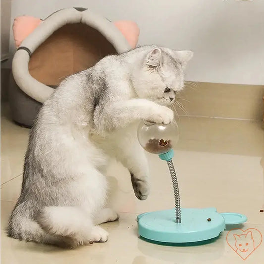 Gray cat playing with a pet puzzle food leaking ball toy on a floor by a cat bed.