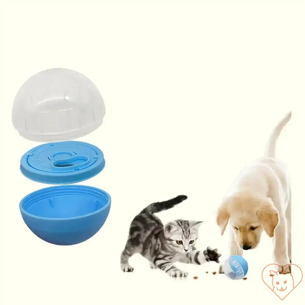 Interactive dog and cat playing with a blue slow feeder ball dispensing treats.