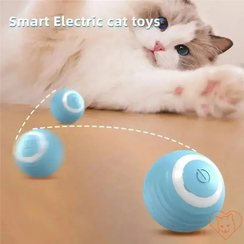 Interactive electric cat ball toy rolling with a cat playing nearby, showcasing fun and entertainment for pets.