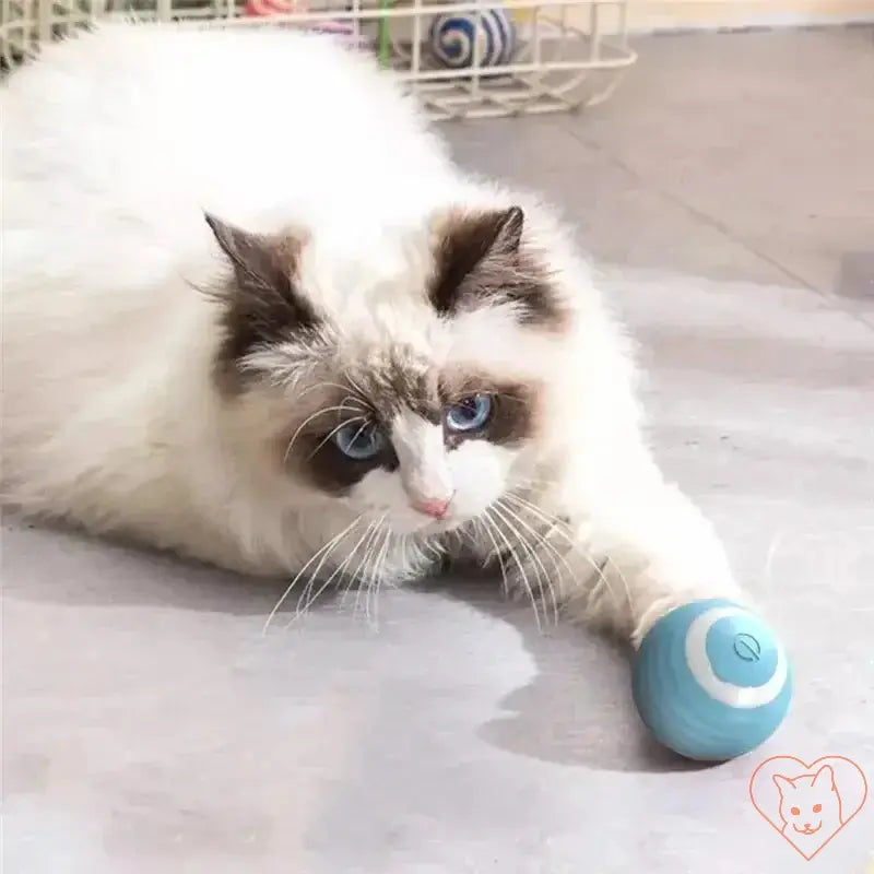 Interactive Electric Cat Ball Toy with a playful cat pawing at it, promoting active play and engagement for pets.