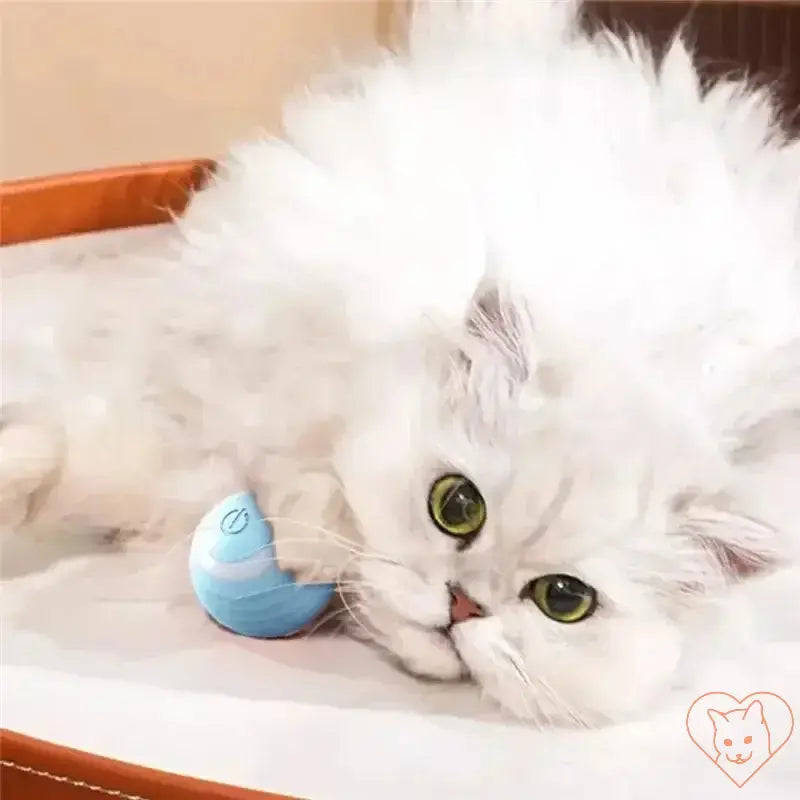 Fluffy white cat lying beside an interactive electric ball toy for engaging playtime.