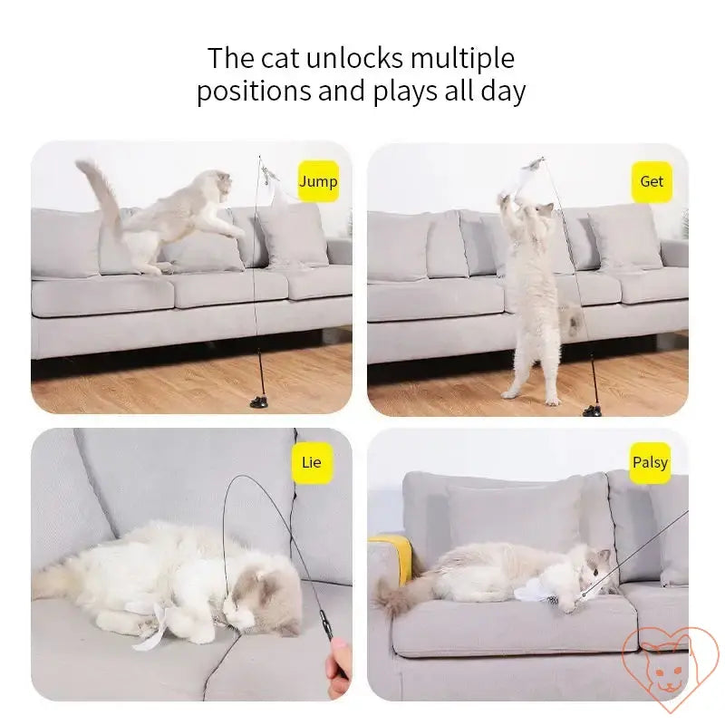 Playful cat engaging with an interactive feather wand in various positions on a couch.