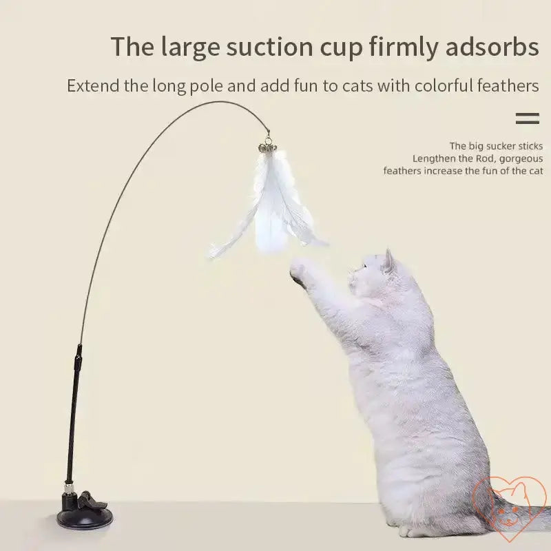 Cat playing with Interactive Feather Wand secured by suction cup, showcasing colorful feathers and engaging design.