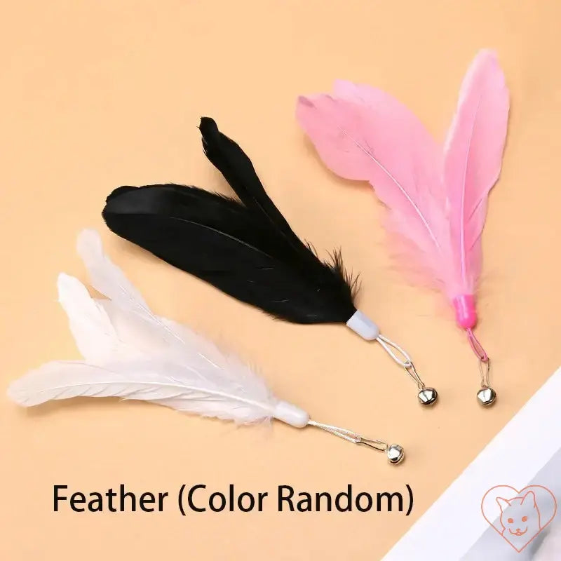 Colorful natural feathers for cat wand toy in black, white, and pink, featuring bells for added excitement.