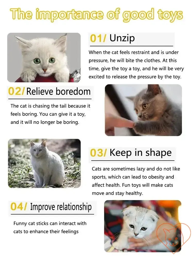 Importance of good toys for cats; tips to relieve boredom, stay active, and improve relationships.