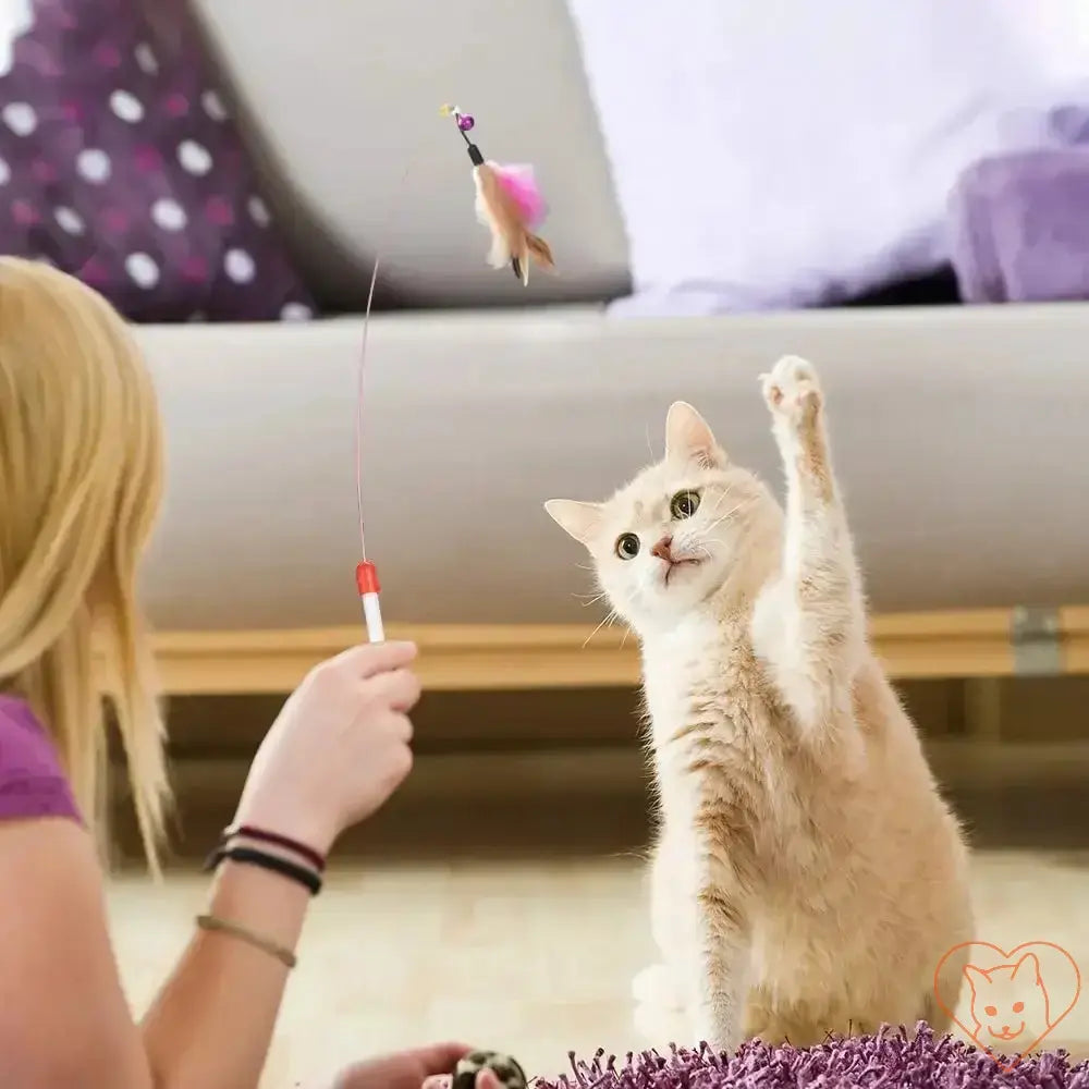 Cat excitedly plays with a wand toy featuring a mouse while a person engages with it, showcasing interactive fun.