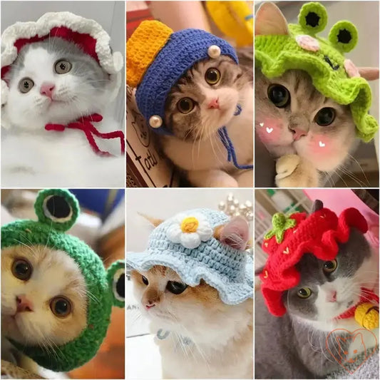 Collage of six adorable cats wearing various colorful knitted hats, showcasing cozy and stylish pet accessories for autumn and winter.