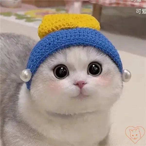 Adorable cat wearing a cozy blue and yellow knitted hat, showcasing its cute features and playful expression.