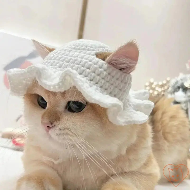 Cozy white knitted cat hat with ruffled brim on a cute feline, perfect for autumn and winter styling.