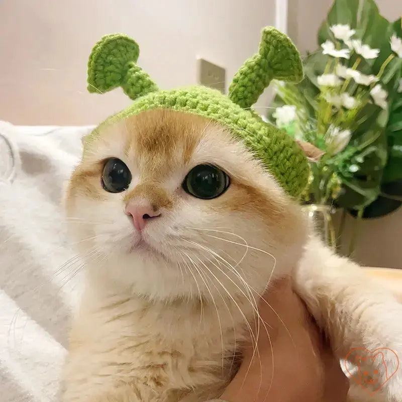 Cat wearing a green knitted hat with antennae, showing off a cozy look for autumn and winter fun.