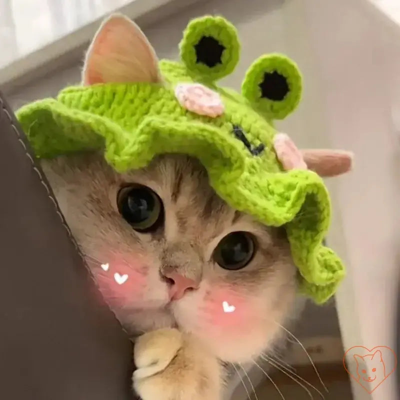 Adorable cat wearing a knitted frog hat, adding a playful touch to its cozy winter outfit.