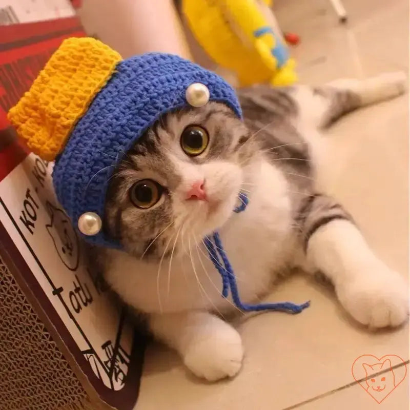 Cozy grey cat wearing a colorful knitted hat with pearls, perfect for autumn and winter style.