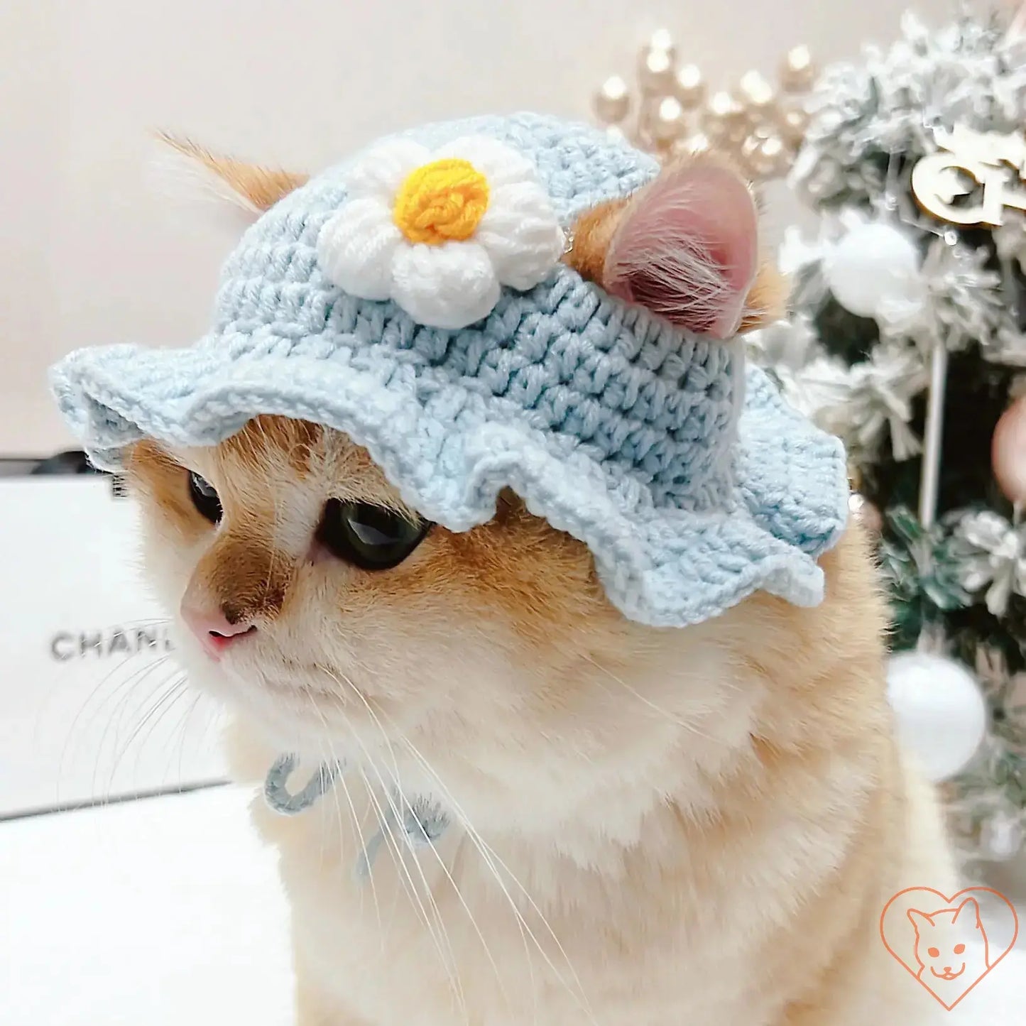 Cozy knitted blue cat hat with flower for stylish pet fashion and warmth during autumn and winter.