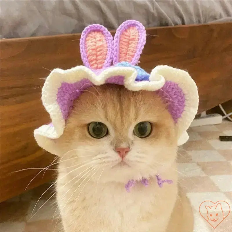 Cat wearing a colorful knitted bunny hat with ear details, showcasing a playful and adorable look.