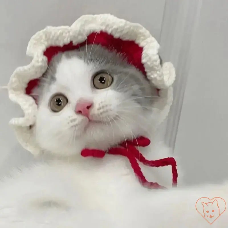 Adorable cat wearing a knitted hat with ruffles, showcasing cozy and stylish pet accessories for autumn and winter.