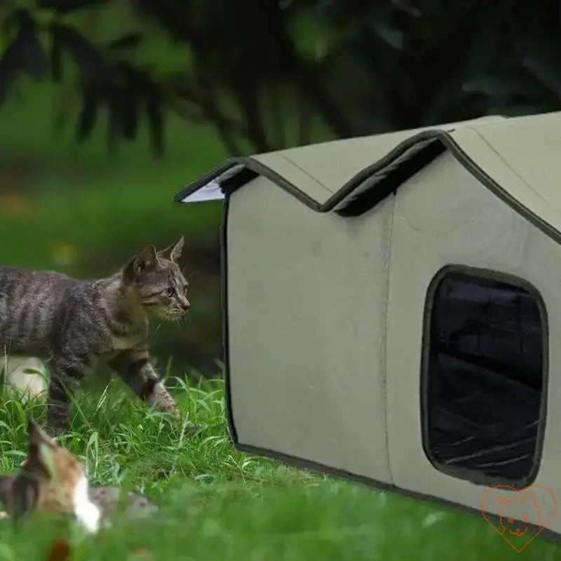 Large insulated cat outdoor shelter in a grassy area with a curious cat nearby.