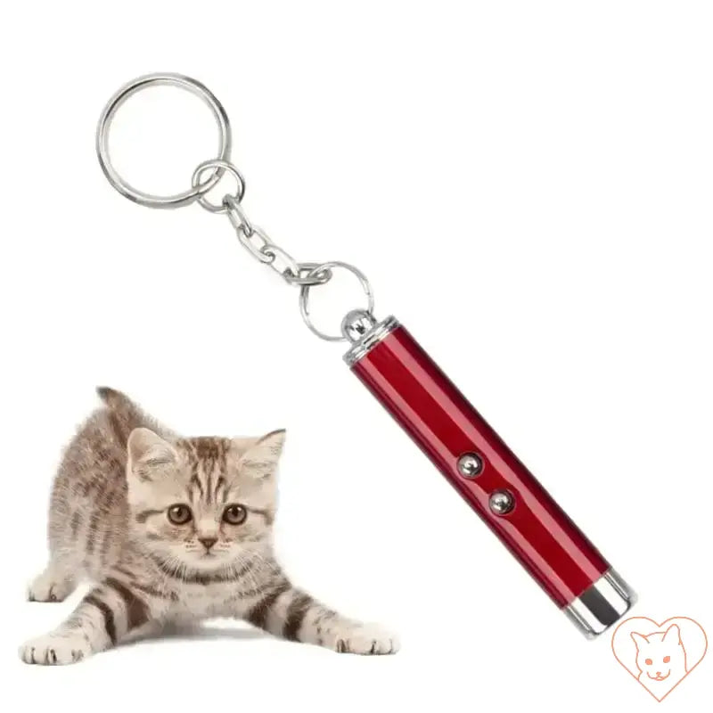 Red laser pointer keychain beside a playful cat, perfect for interactive pet fun and exercise.