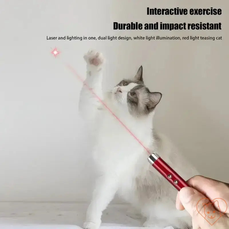 Cat playing with a durable red laser pointer toy, promoting interactive exercise and entertainment indoors.