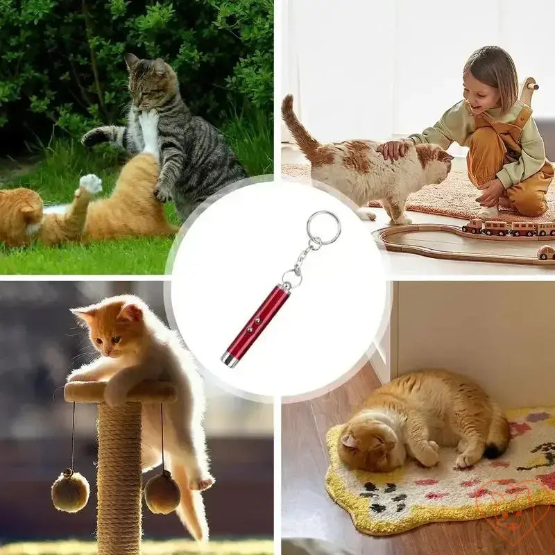 Interactive cat laser pointer surrounded by playful cats, showcasing pet enrichment and exercise activities.