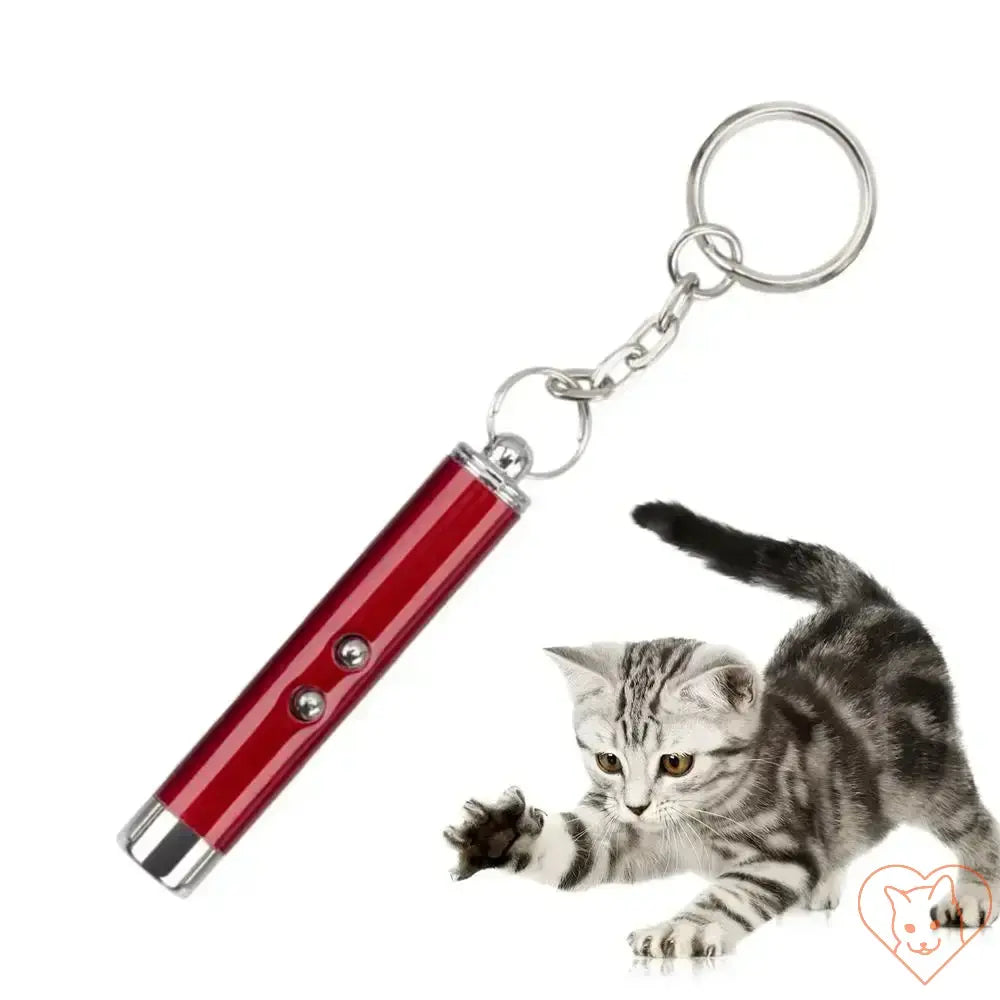 Red laser pointer keychain for cats, interactive toy for indoor play and exercise.