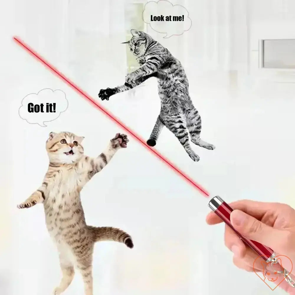 Two cats playing with a red laser pointer, showcasing excitement and engagement in indoor play with pet enrichment.