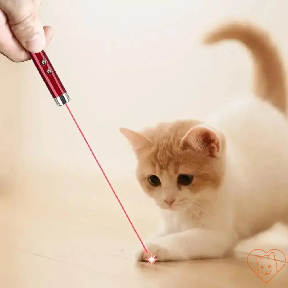 Interactive laser pointer toy for cats, encouraging exercise and play with a red laser beam.