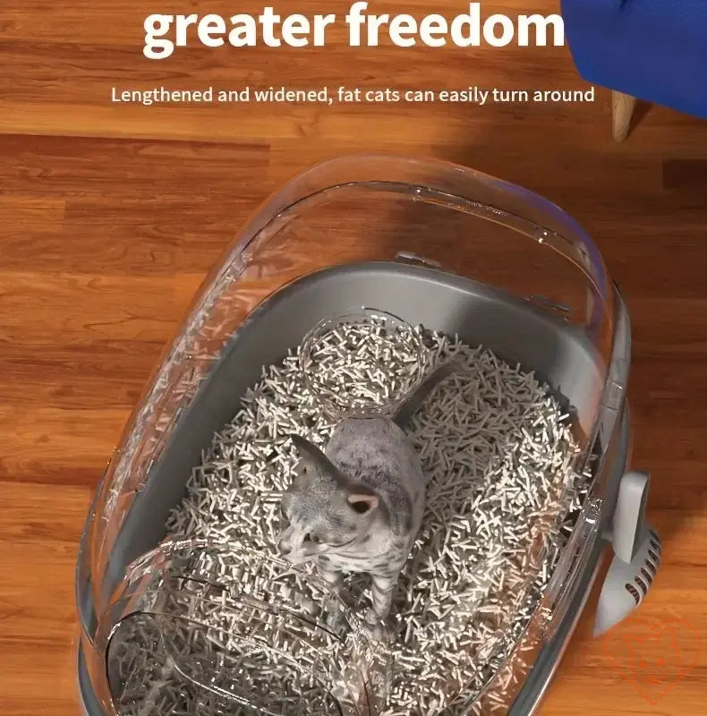 Cat comfortably turning around in a spacious, leak-proof foldable litter box with innovative design for greater freedom.