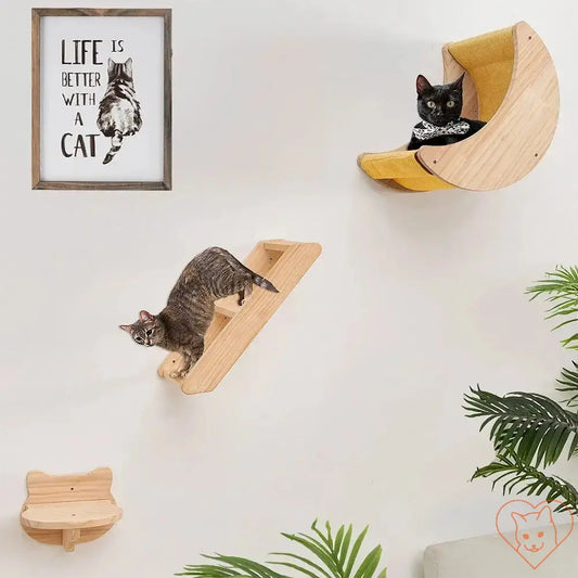 Two cats on a wall-mounted Moon Cat Shelf Hammock; features a climbing ramp and cozy perches.