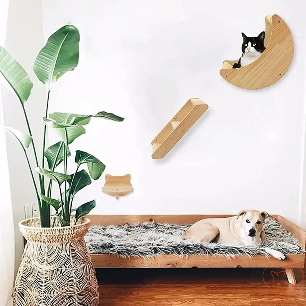 Cat lounging on a Moon Cat Shelf Wall Hammock with a dog resting nearby, showcasing indoor pet furniture.