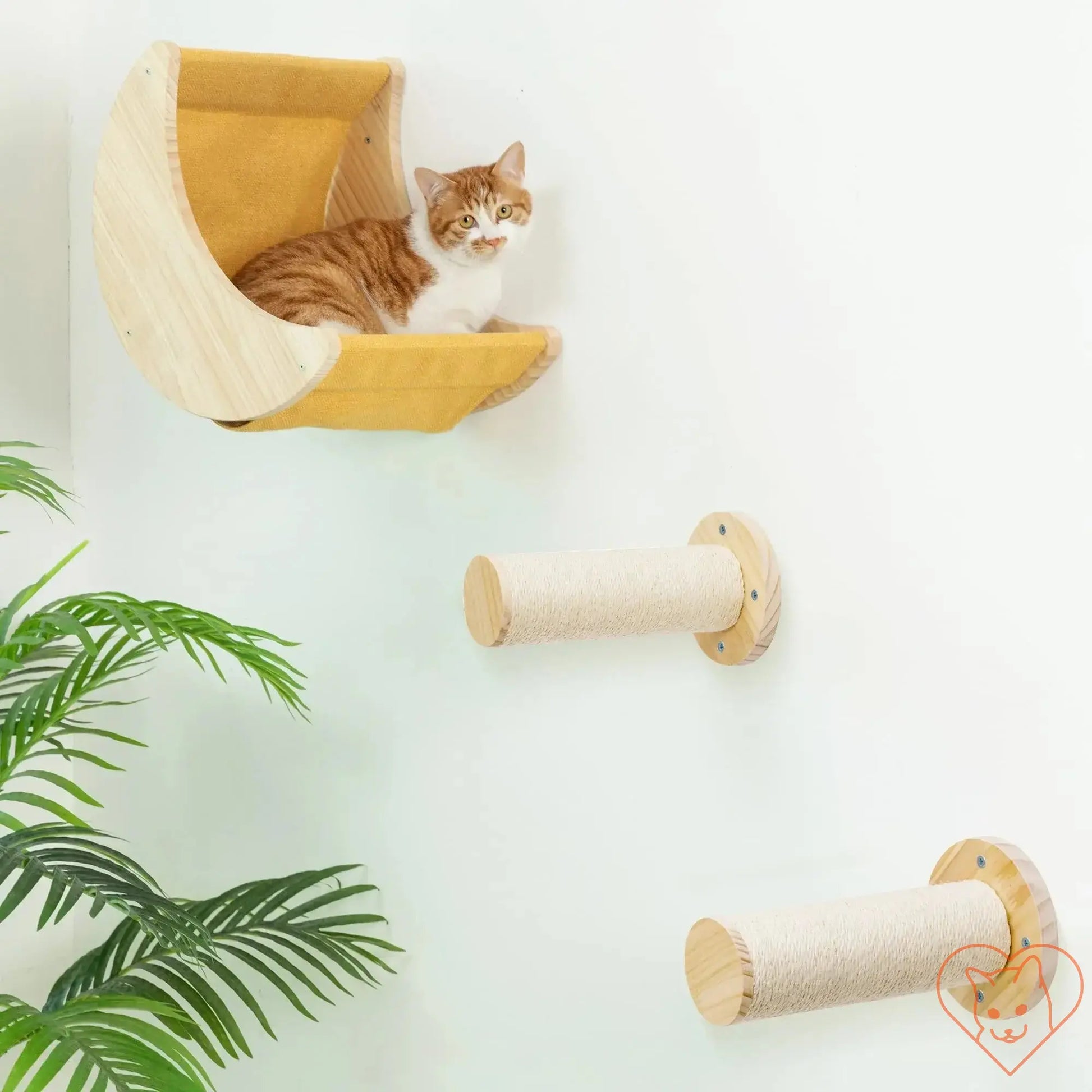 Cat lounging in a wall-mounted hammock with scratching posts for indoor playtime and climbing.