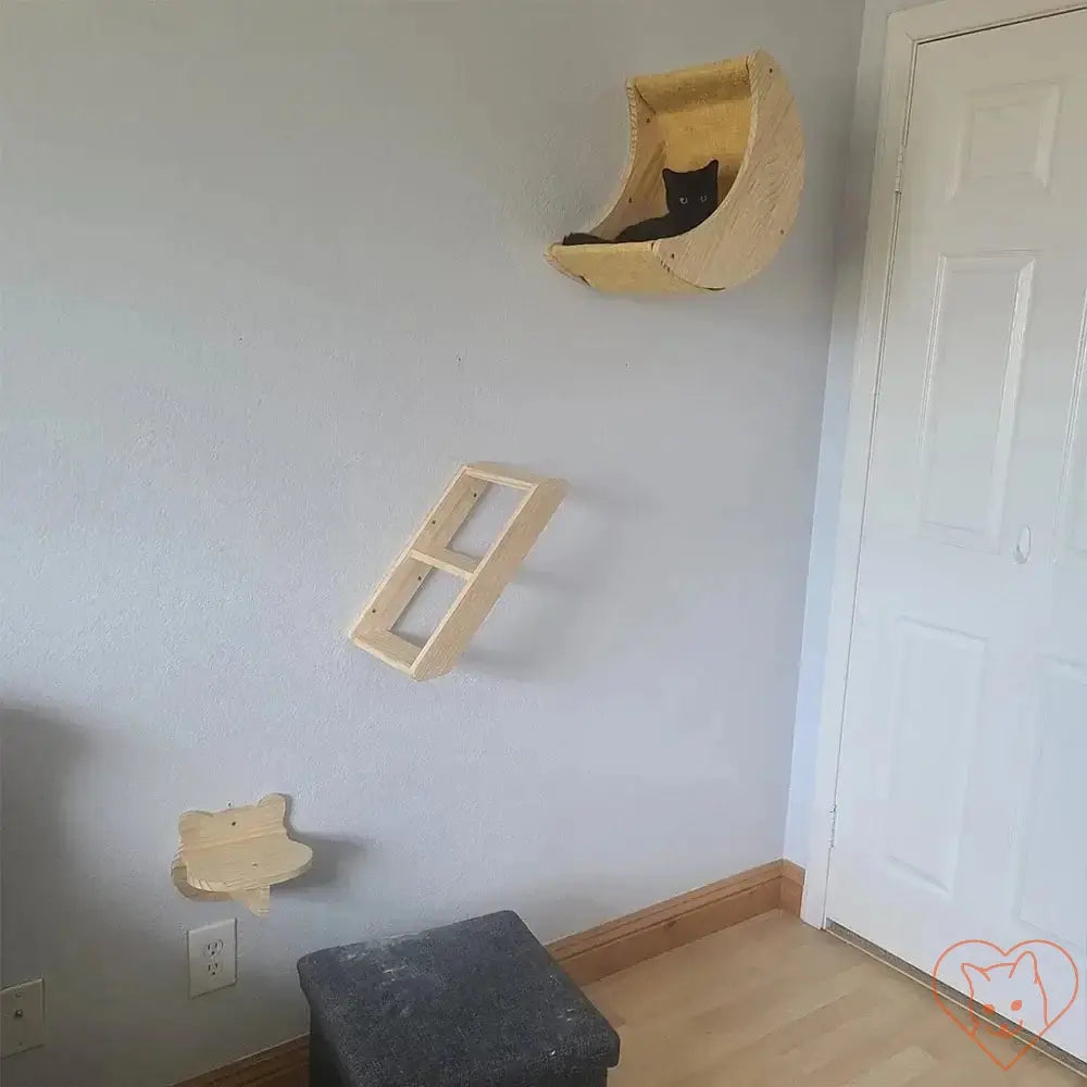 Moon Cat Shelf Wall Hammock featuring a black cat lounging, showcasing climbing shelves for indoor cat play.