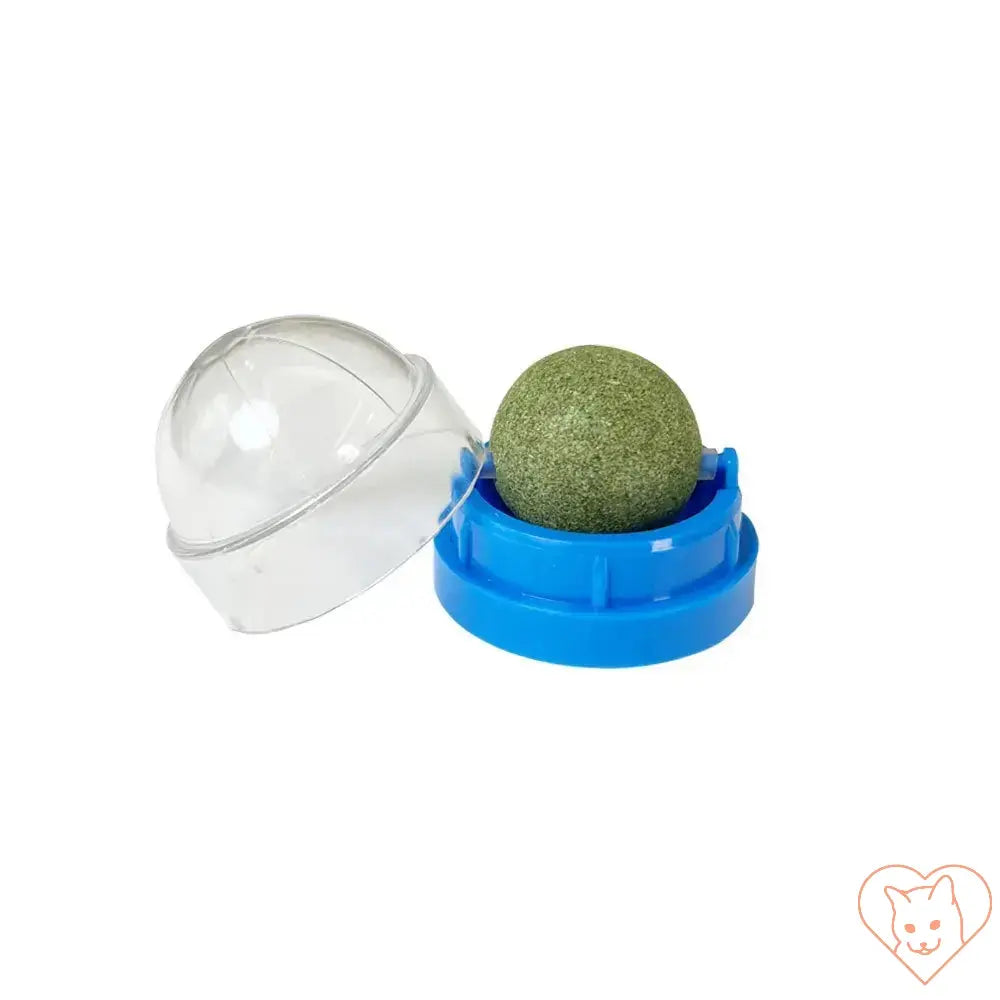 Natural Catnip Stick-On Ball Toy for Cats in a clear container with blue base.