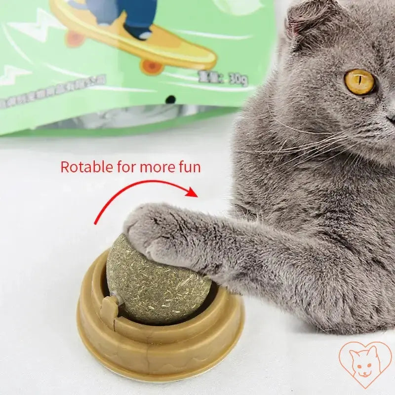 Cat playing with a natural catnip stick-on ball toy, enhancing fun and interactive play experience.