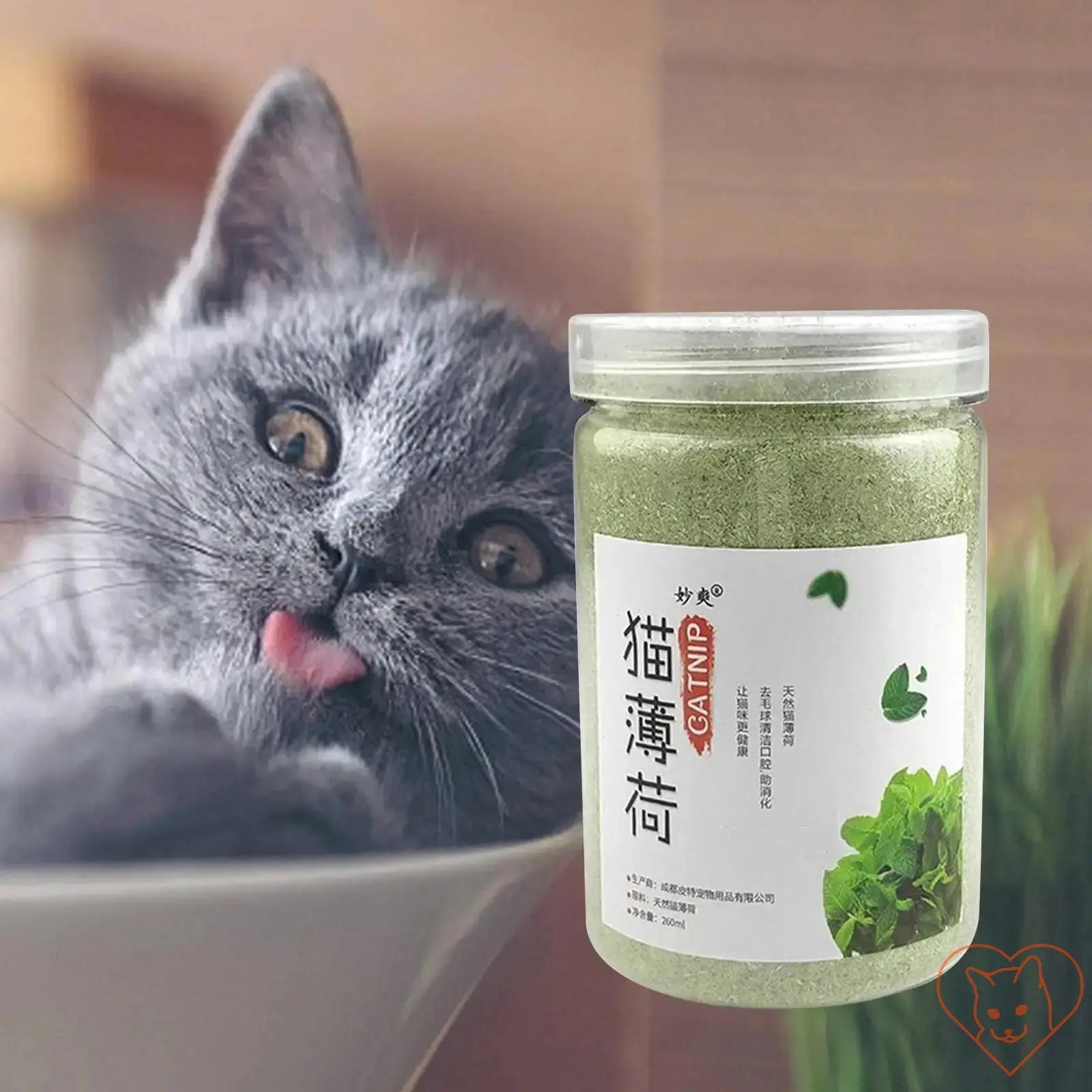 Gray cat playfully licking its lips beside a jar of natural catnip treats for cats.